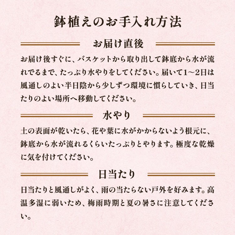 �X���C�_�[�摜7