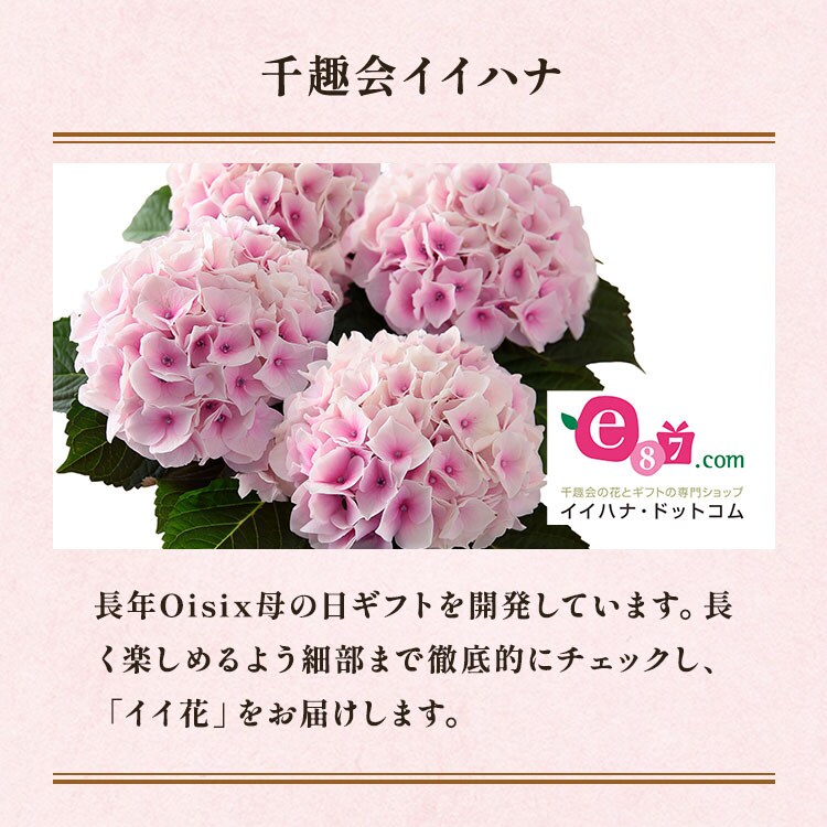 �X���C�_�[�摜8