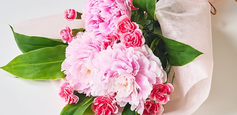  �����u�[�P 䉖�&�J�[�l�[�V���� �R���e���c1