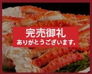 �l�ꂽ�ď����v���~�A���A���X�J�Y�^���o�I�r
