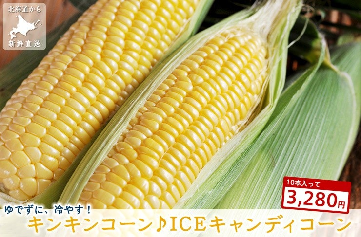 �k�C������g�L���L���R�[����ICE�L�����f�B�[�R�[���h���Y�n�����I