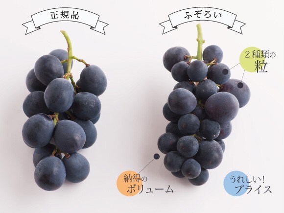 正規品、ふぞろい比較