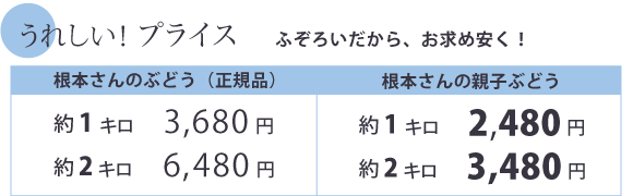 うれしい!プライス ふぞろいだから、お求めやすく!