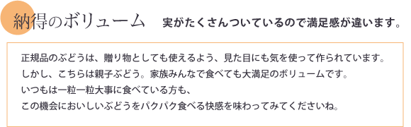 納得のボリューム 実がたくさんついているので満足感が違います