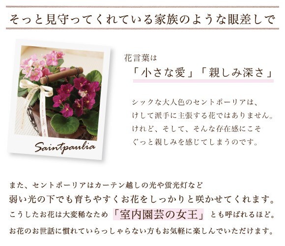 そっと見守ってくれるような眼差しで