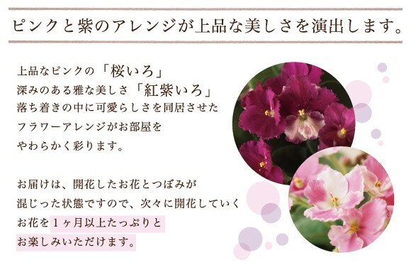 上品な美しさ
