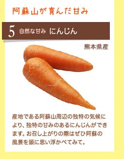 阿蘇山が育んだ甘み 自然な甘み にんじん 熊本県産