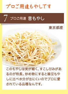 プロ御用達もやしです プロ御用達 昔もやし 東京都産