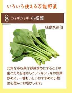 いろいろ使える万能野菜 シャキシャキ 小松菜 徳島県産他