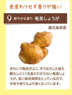 色変わりせず香りが強い 鮮やかな香り 奄美しょうが 鹿児島県産