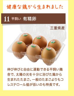 健康な鶏から生まれました 平飼い 有精卵 三重県産