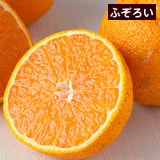 ���c����̂ӂ��낢�s�m�΁i����ʂ��j�@��5kg