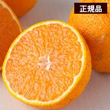 ���c����̕s�m�΁i����ʂ��j�@��5kg