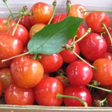 �y�����߂��z���c����̍����с@��300g