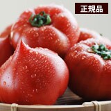 ���c����̂Ƃ񂪂�t�@�[�X�g�g�}�g�@��1.6kg