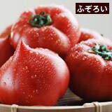 �y�ӂ��낢�z�Ƃ񂪂�t�@�[�X�g�g�}�g ��1.6kg