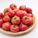 �Ɗ쎡�����̍����x�g�}�g�i��1kg�j
