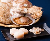 �O���Y �f�J�v���z