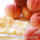 �v�ÊԂ���̂������蓍�i���P�j