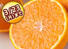 ���c����̕s�m�΁i��3kg�j