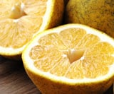 �R�삳��Ƃ͓̉��ӊ�(��3kg)