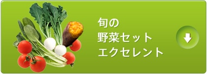 �{�̖�؃Z�b�g �G�N�Z�����g