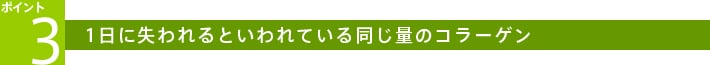 �͂��݂�񂲐|��{Fe ����� ��������