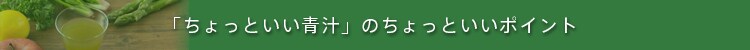 �͂��݂�񂲐|��{Fe ����� ��������