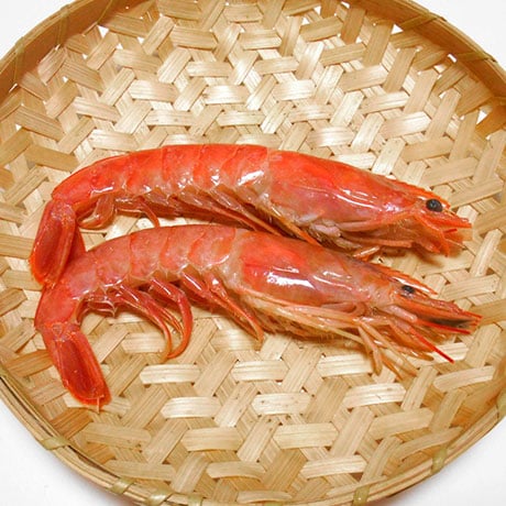 �C�V�̉摜