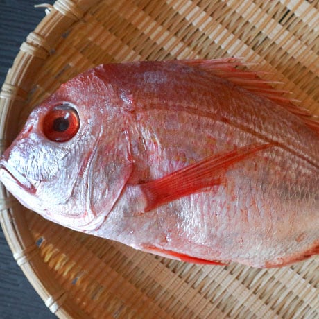 ��̉摜