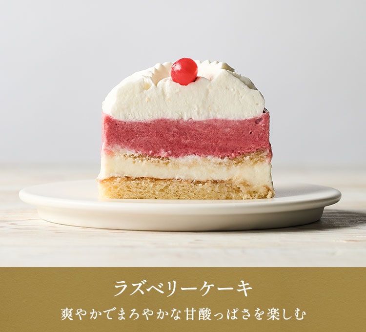 カラフル4種のアソートケーキ画像_2