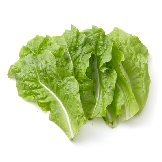 �T���`���i��t���Y�j