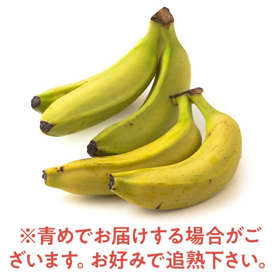 �������肵���Â� �L�@�͔|�o�i�i(�y���[�Y)