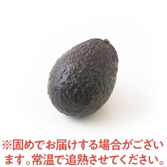 �Z���Ȗ��킢 �A�{�J�h(���L�V�R�Y �~�Q�C������)