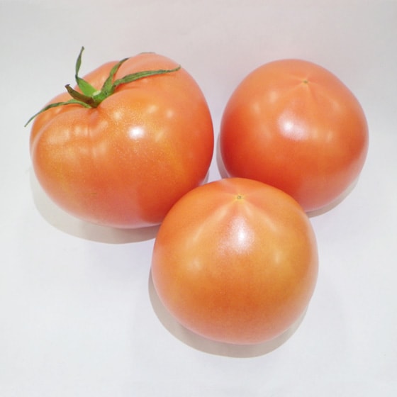 トマトです。 美しい紅色が自慢の トマト(400g 長崎県産 杉本さん他)|有機野菜 通販