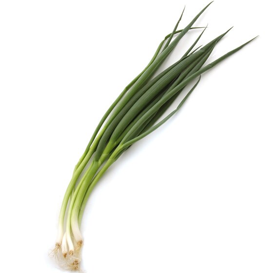 有機野菜 通販 Oisix(おいしっくす)