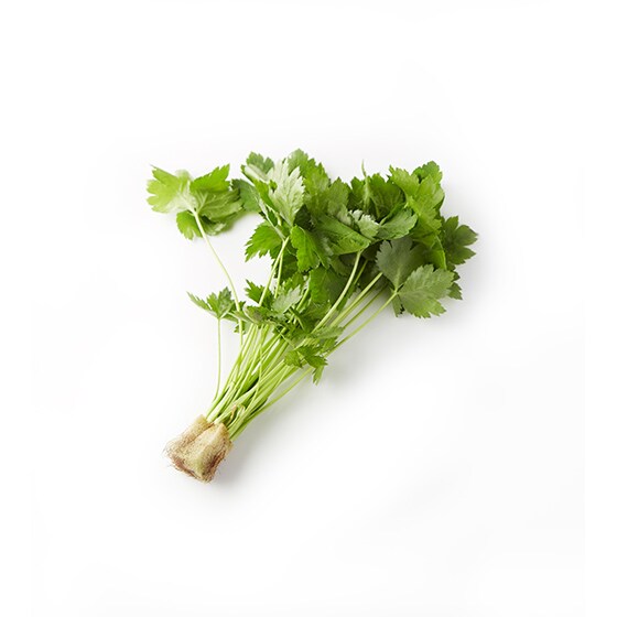 �yCookBox�z�݂�(���Y)