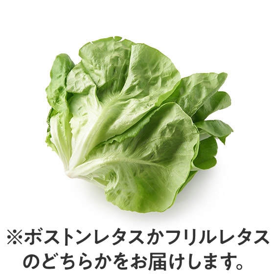 �y�f��Oisix�ʓY�z���[�t���^�X(���Y)