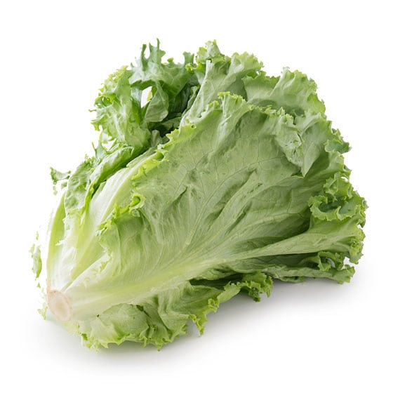 �L�@�O���[�����[�t