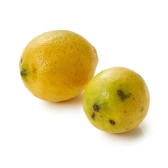 ������300g