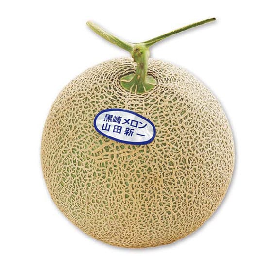 潮風が甘く育ててくれました 三浦の潮風メロン|有機野菜 通販 Oisix