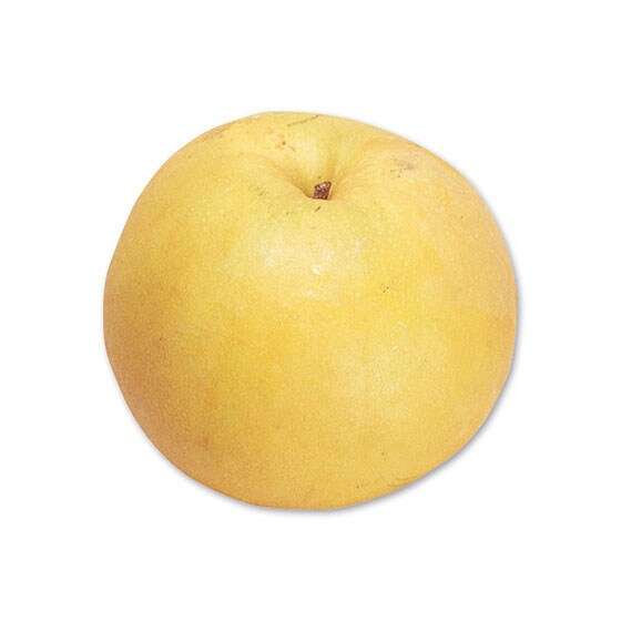 �V��(��)�E1.2kg