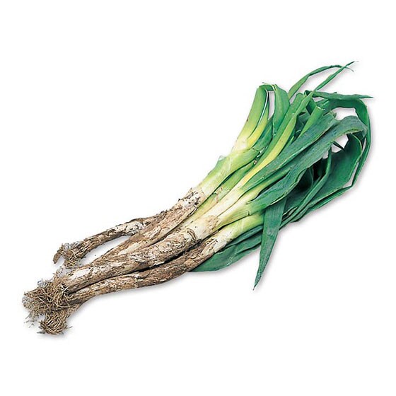 加熱すると甘み感じる 深谷ネギ・500g|有機野菜 通販 Oisix(おいしっくす)