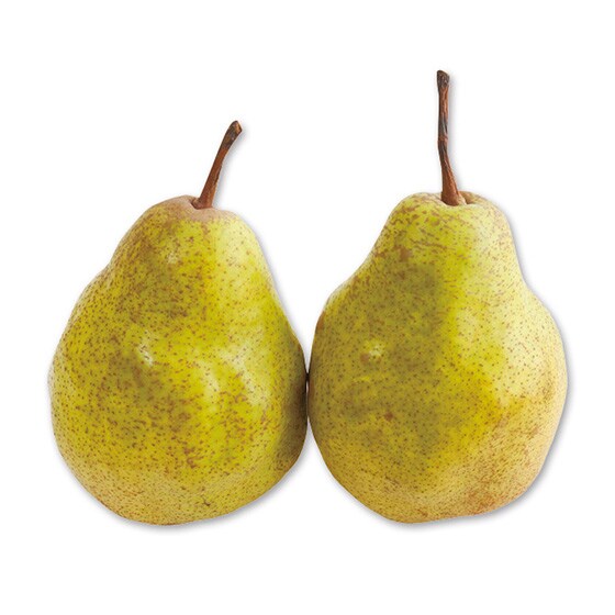�m��(�V���o�[�x��)�E800g