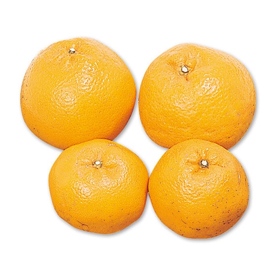 �͂�݁E700g