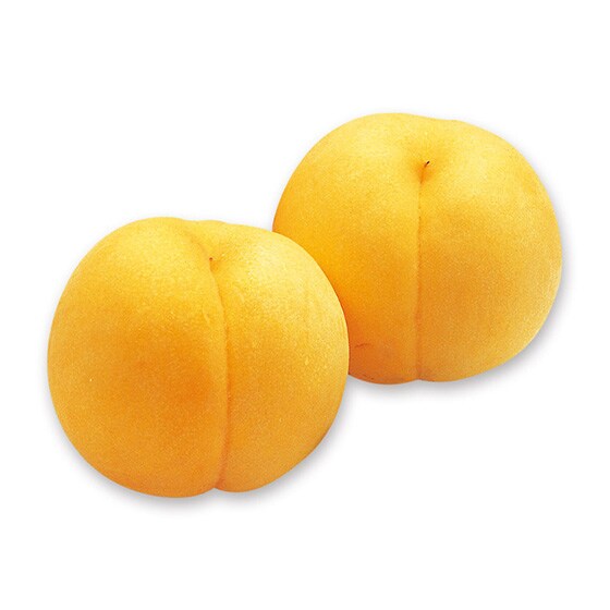 ���R����̉���