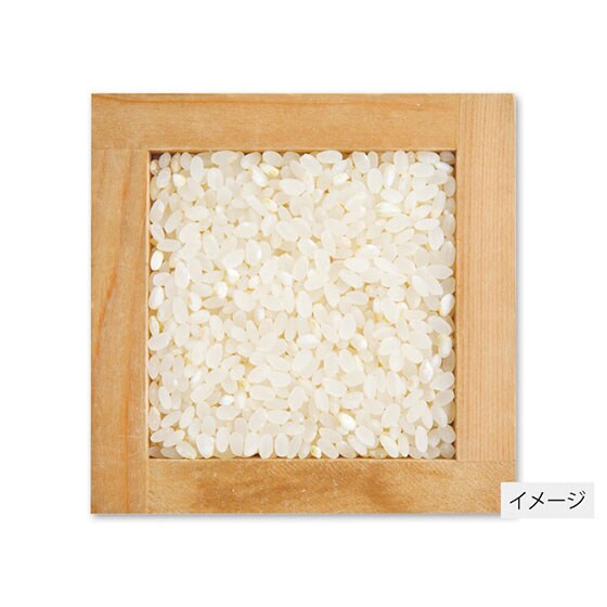 �y2018�N�Y�āz�L�@�V���R�V�q�J�� ���� 3kg