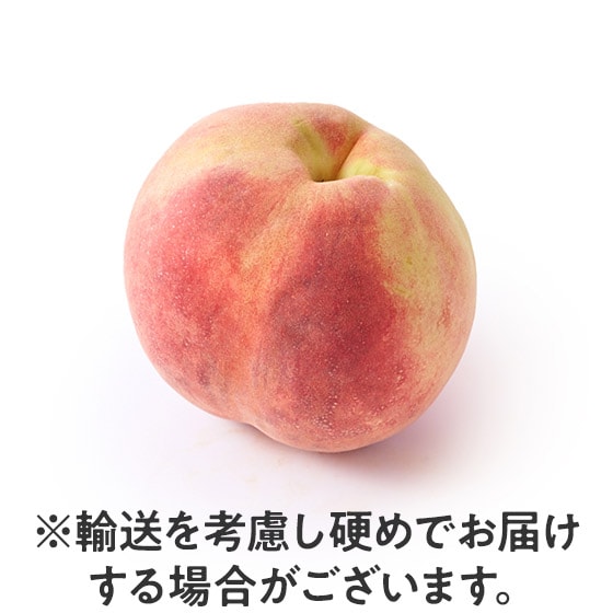 �������ƍL�����i�ȊÂ��I�ґ�(�R�����Y)