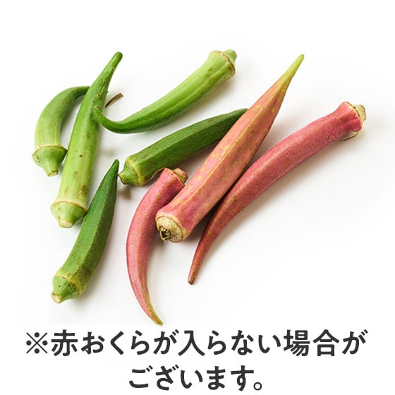 �y��������Oisix�z�T�C�Y���F���`�� �ӂ��낢������