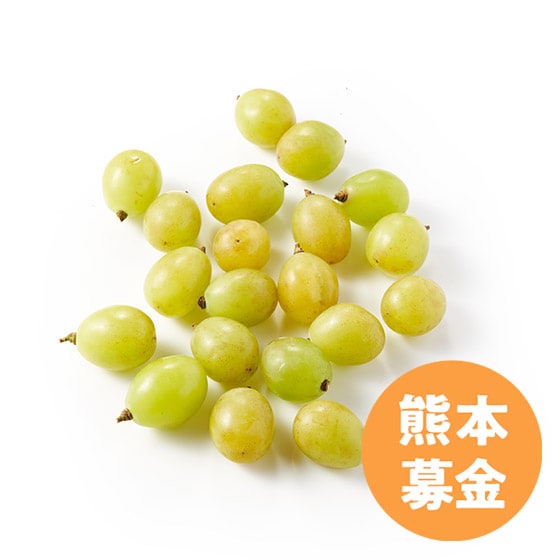今週の野菜とフルーツ（7/30～8/6 10:00）｜Oisix（おいしっくす）